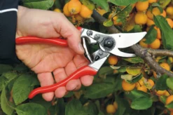 Felco 9 - Beskæresaks