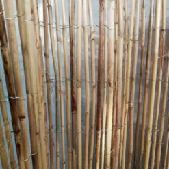 BambusHegn Macao 150 X  ca.300 Cm