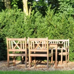 Taxus Media 'Hillii' (Taks), Salgshøjde: 60-80 Cm