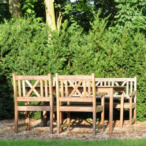 Taxus Media 'Hillii' (Taks), Salgshøjde: 60-80 Cm